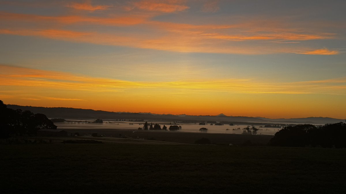 keizerbill's tweet photo. Could there be a new day dawning this fall? #saveoregon https://t.co/KqwWaO15QM