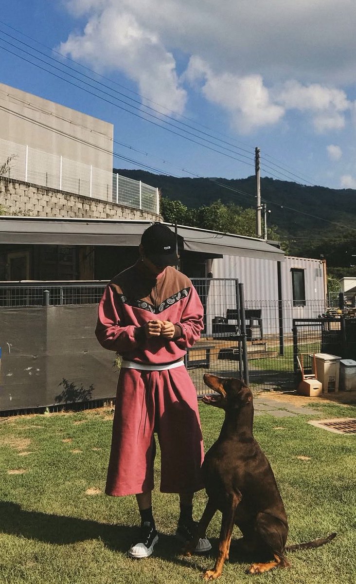 waitingjjk2's tweet photo. グク、バムに会いに行ったんだね🥺
バムちゃんも嬉しそう💓 https://t.co/P4eF0PiHdI