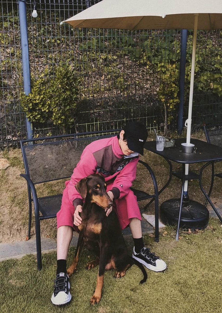 waitingjjk2's tweet photo. グク、バムに会いに行ったんだね🥺
バムちゃんも嬉しそう💓 https://t.co/P4eF0PiHdI