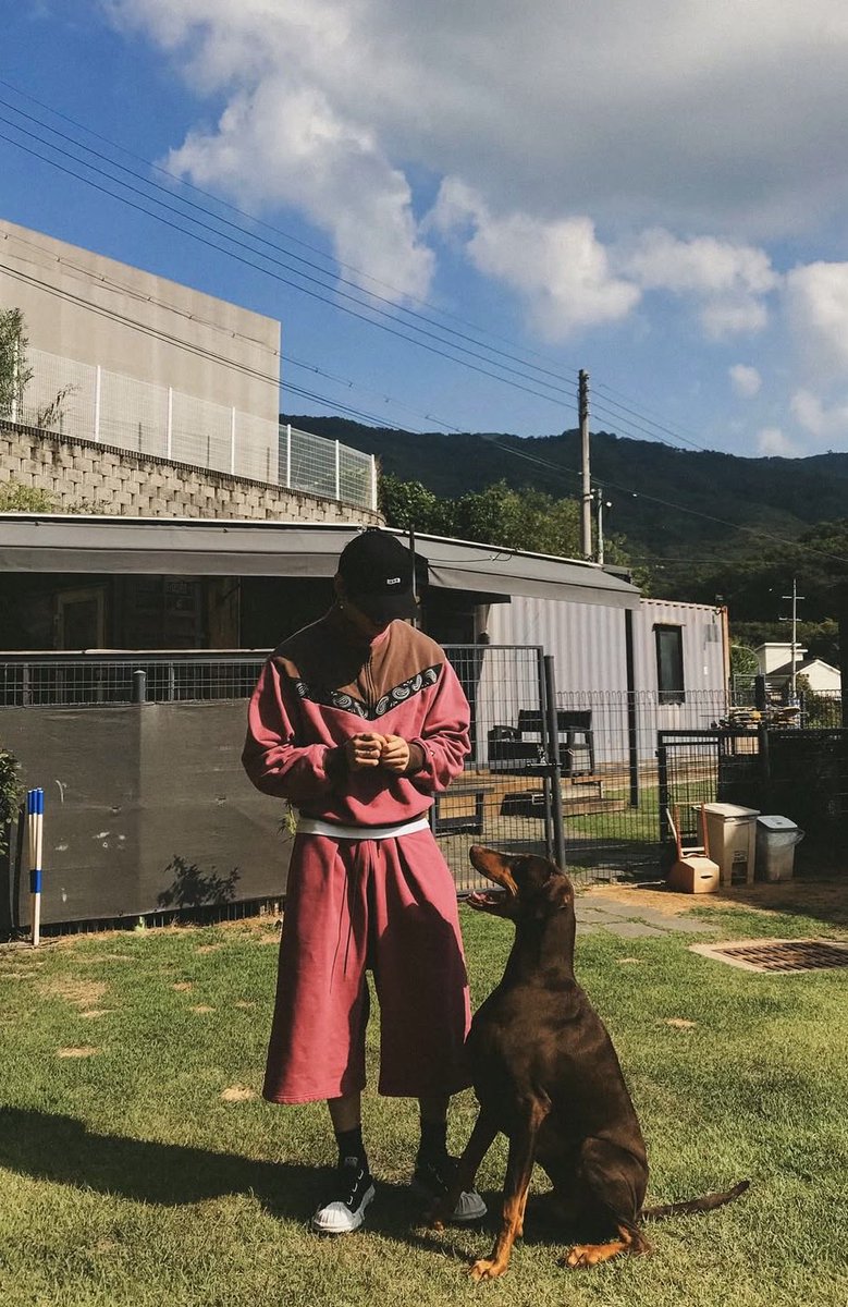 waitingjjk2's tweet photo. グク、バムに会いに行ったんだね🥺
バムちゃんも嬉しそう💓 https://t.co/P4eF0PiHdI