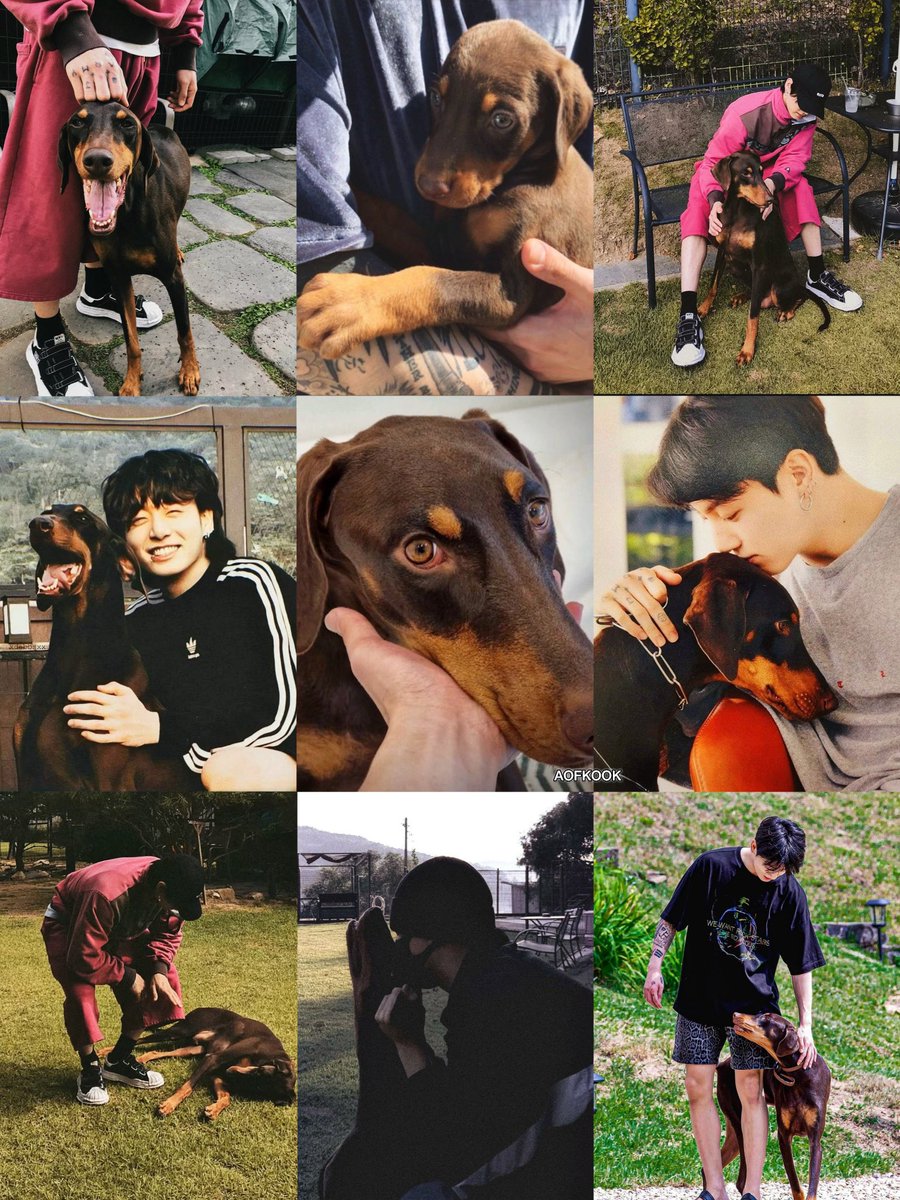 archivesofkook's tweet photo. jungkook with bam 🐾♡ https://t.co/Bcl9RPXy6r