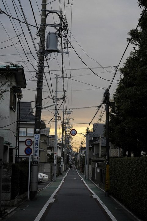 fikamdluli5's tweet photo. これね〜とっても概念で可愛い！絶対ソロライブのニキに似合うじゃん！って思ってたのももちろんあるんだけど、ニキにも喜んでほしくて
だからここでしか食べられないとびきり美味しいご飯にデザートにもりもりの美味しいものも食べられるナイトプールでのお祝いにしたんだ〜❣️😋 https://t.co/opitsgiUOF