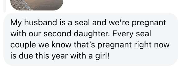 AlpacaAurelius's tweet photo. So interesting

Navy seals are always havin daughters https://t.co/NDRVeyQrWq