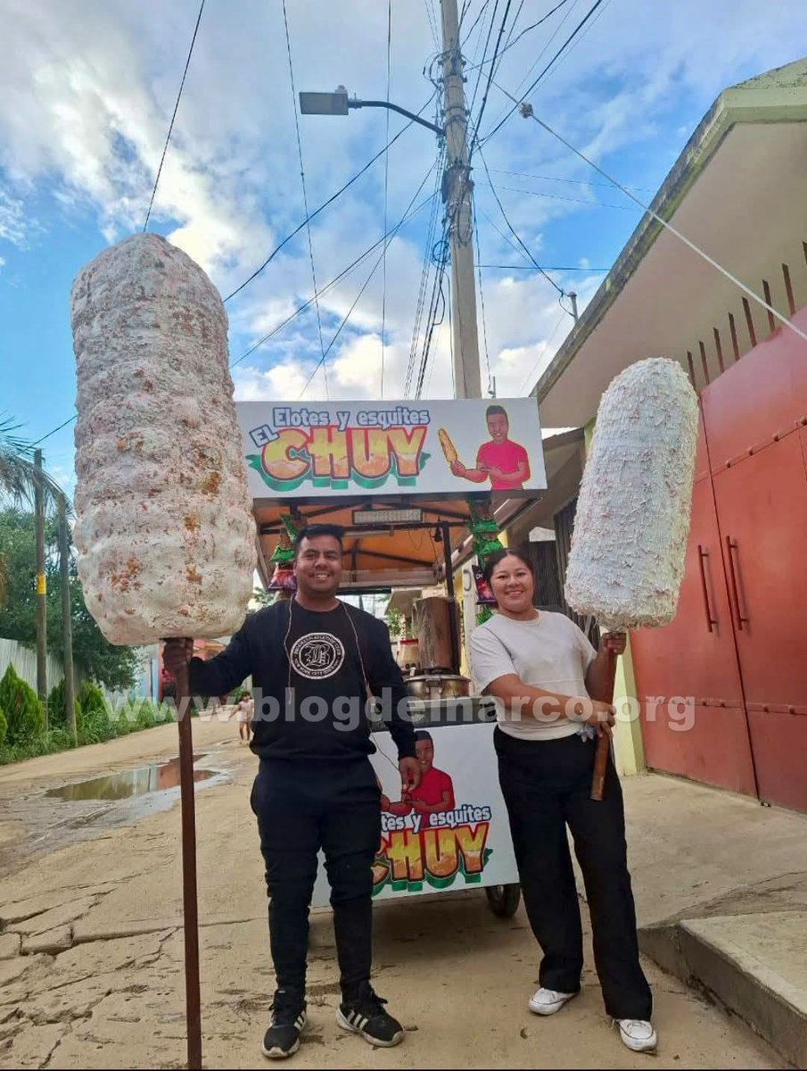 blogdelnarcomx's tweet photo. Siempre lucharon juntos para salir adelante, Sicarios ejecutaron a Jesús Alvarado “El Chuy”, el elotero más querido y a Rosalba su esposa cuando iban en una moto en San Martín Mexicapam, Oaxaca, LEE MÁS AQUÍ 👇👉 https://t.co/CQgtV2eWLW https://t.co/KPPcngQayw