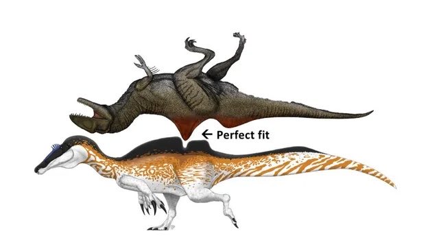 Cretaceous27738's tweet photo. https://t.co/efMCyomGG6
