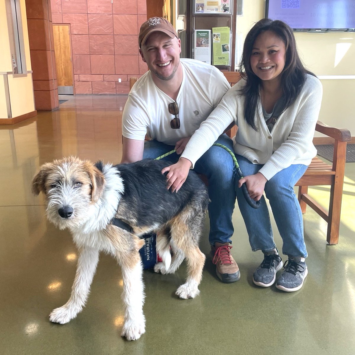 PeninsulaHumane's tweet photo. Bryce went home to a very excited couple, who can't wait to spoil him. ❤️ Happy tails! 

#phsspca #adopted #adoptdontshop https://t.co/f3Vr3mSoGc
