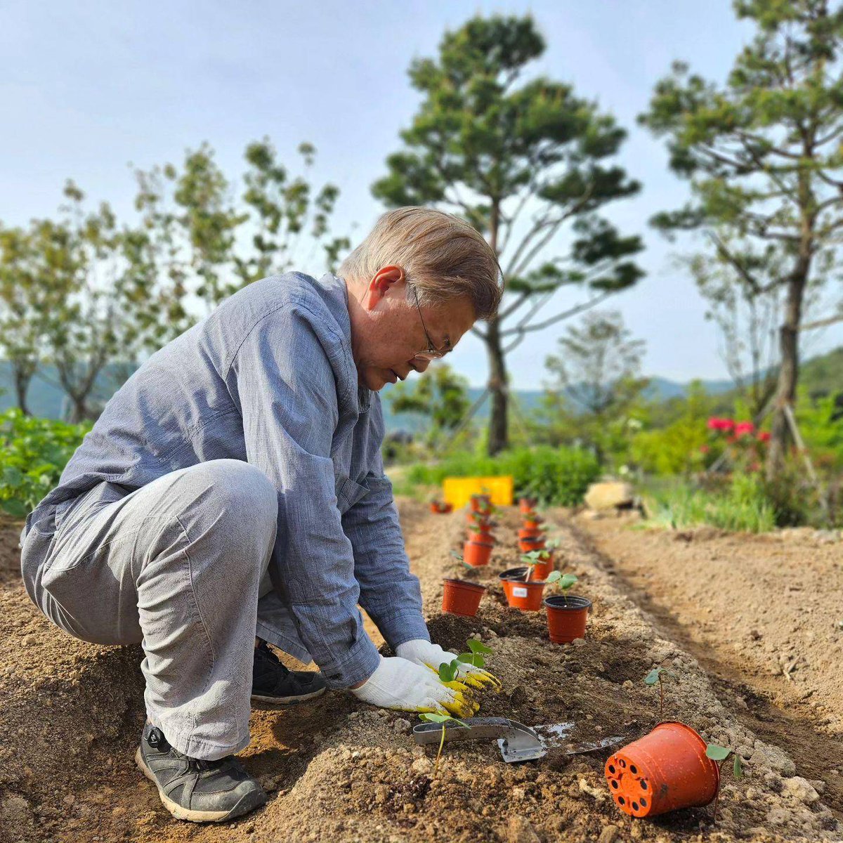 RiverCorsaofvy's tweet photo. [The soil’s rich, I mix ingredients carefully, cherish small joys, fit daily life just right—no mockery, just real vibes!]， https://t.co/r0GbKuqaFE