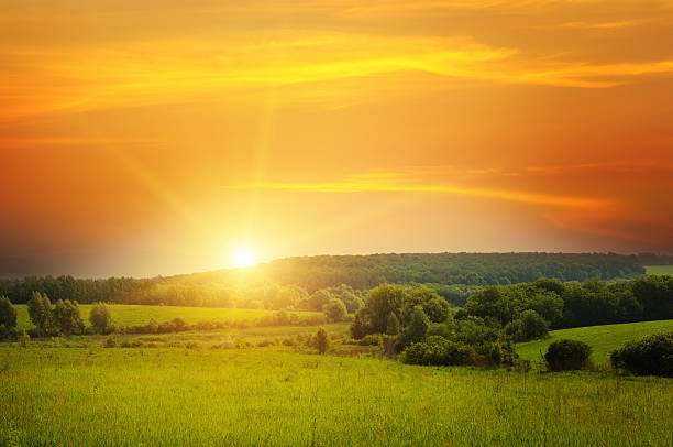 sadikur714's tweet photo. Good morning.

New day, fresh energy and another chance to make something meaningful happen. https://t.co/jexAWhS6o6