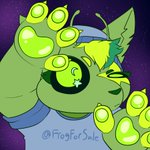 Photo by Frog For Sale 💵🐸 (@FrogForSale)