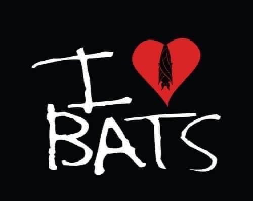 battwting's tweet photo. https://t.co/N0GcLNWIxq