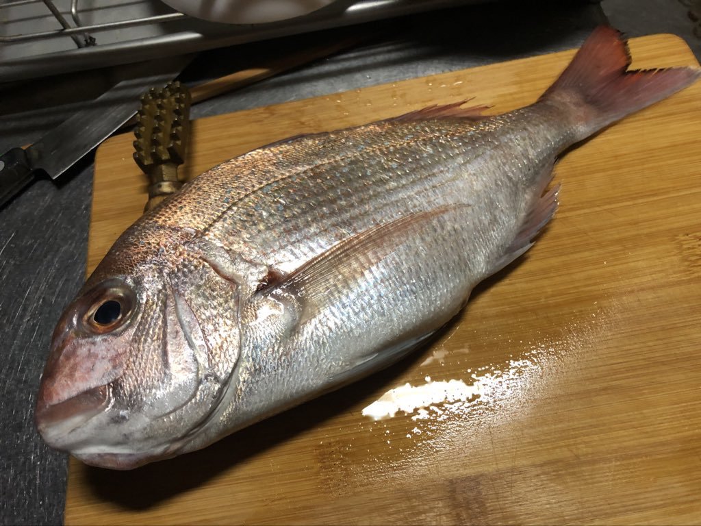 ajiban's tweet photo. 魚の話🦈
海産物は漁獲量が減り高値だが
価格が高低逆転のモノも…
まだ鯵や鰯などは多く捕れると傷みやすさも有り安価な場合も〜しかしノドグロの出世には驚く！そもそも不人気だったアカムツだからね〜昔、市場では一箱5キロ以上で現在の一尾の価格だった、逆に鯛は養殖が盛んで安定してお手頃価格😇 https://t.co/cuv3xu7yZh