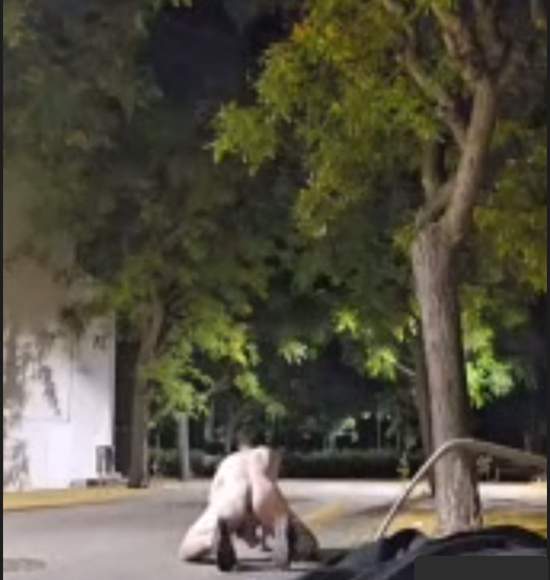 SirMachoAlon's tweet photo. Sacando a pasear al perro https://t.co/PSumhhBdTw