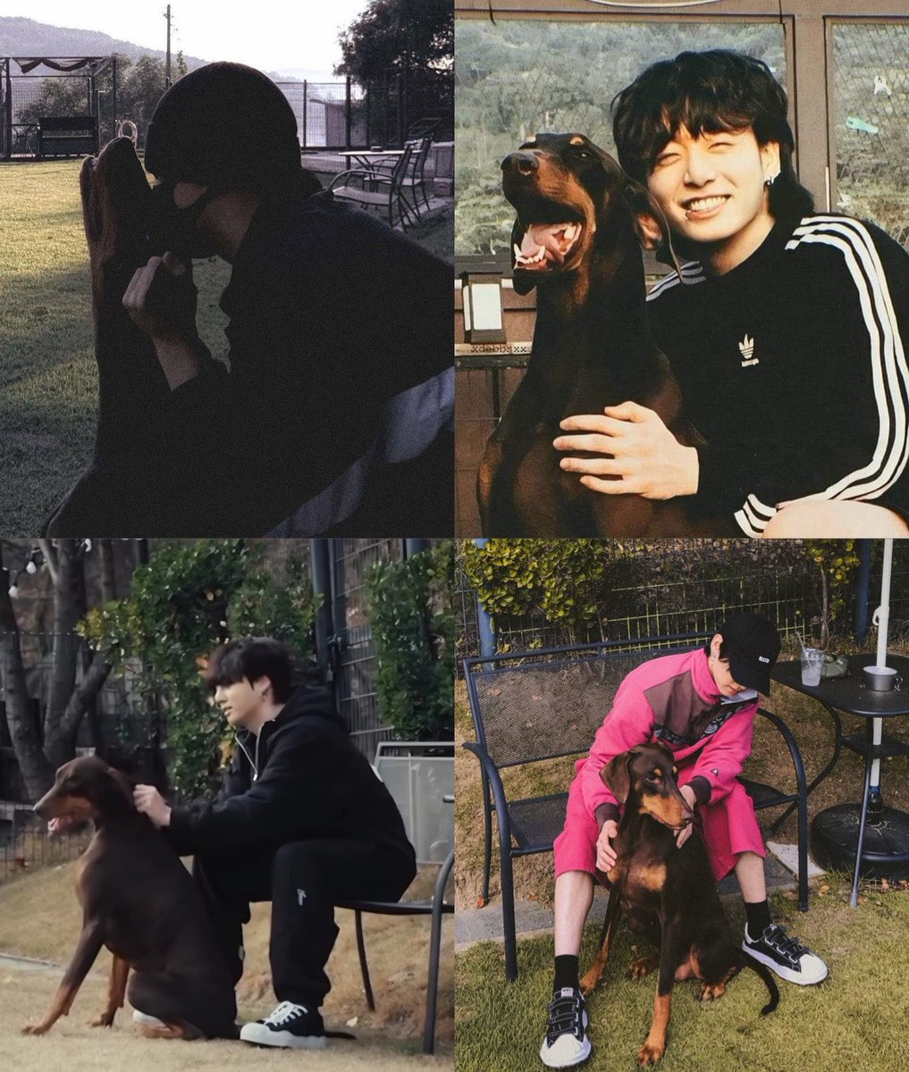 mnisjungkook's tweet photo. these pics taken in the location where bam is staying and i wonder if its hard for jungkook to say goodbye when he goes on tour or when he was in the military. he always makes sure to take pics of bam before he goes like jungkook created an ig just to post about him <3 https://t.co/TYGQr0p3Gr