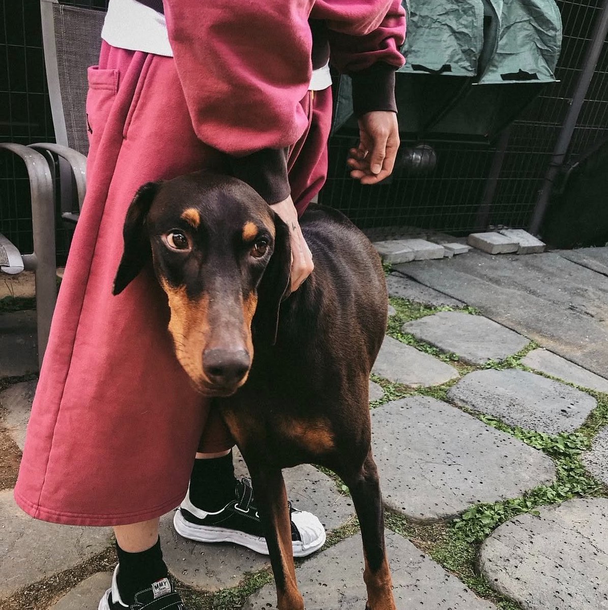 mnisjungkook's tweet photo. love the concept of bam being half of jungkook’s size yet wanting to be babied by jungkook. like bam really is jungkook’s big overgrown puppy <3 https://t.co/QNffh1IwsX