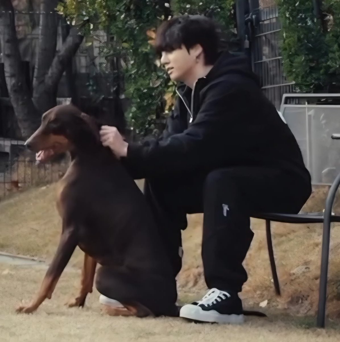 mnisjungkook's tweet photo. love the concept of bam being half of jungkook’s size yet wanting to be babied by jungkook. like bam really is jungkook’s big overgrown puppy <3 https://t.co/QNffh1IwsX