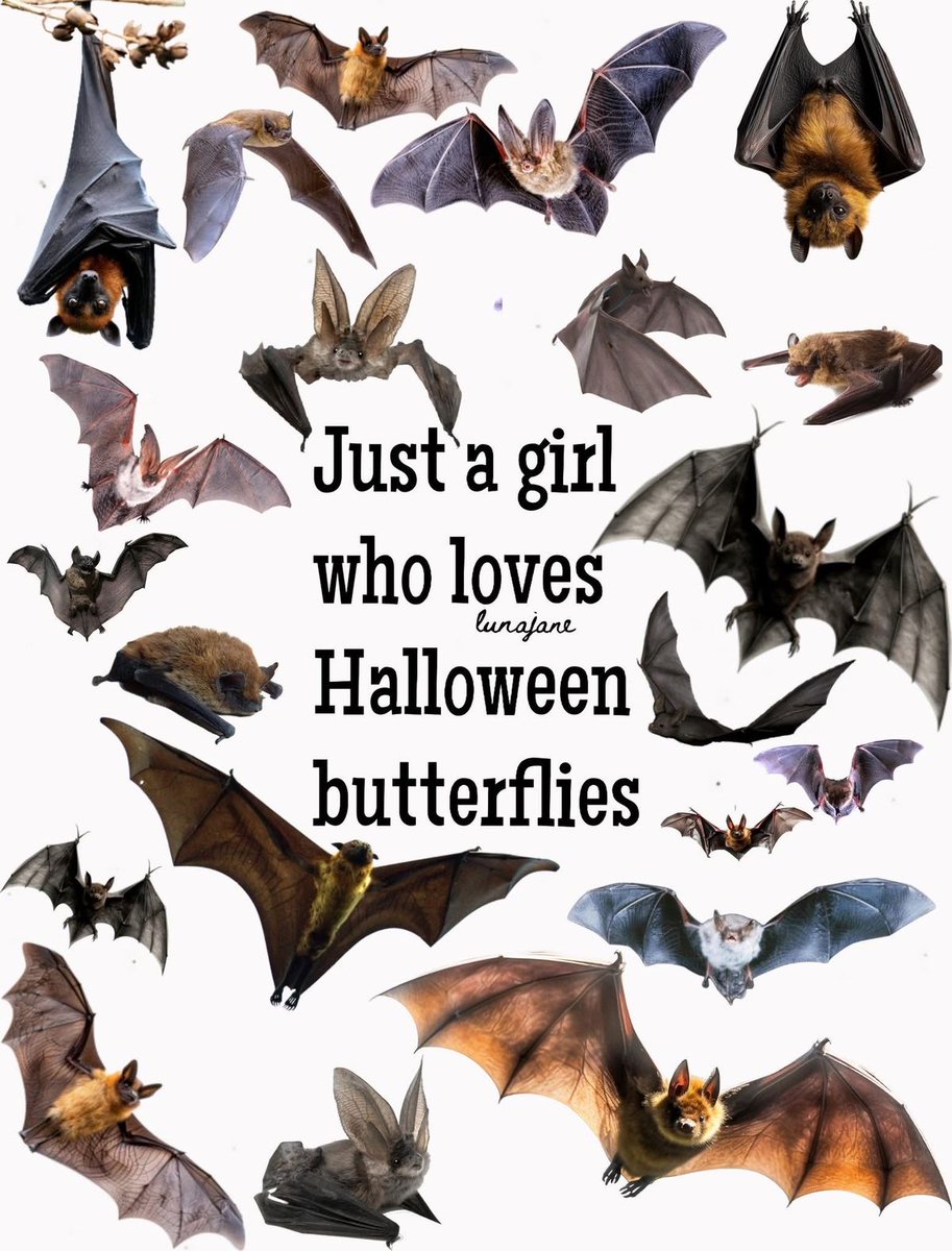 battwting's tweet photo. https://t.co/Yx5NuLjImt