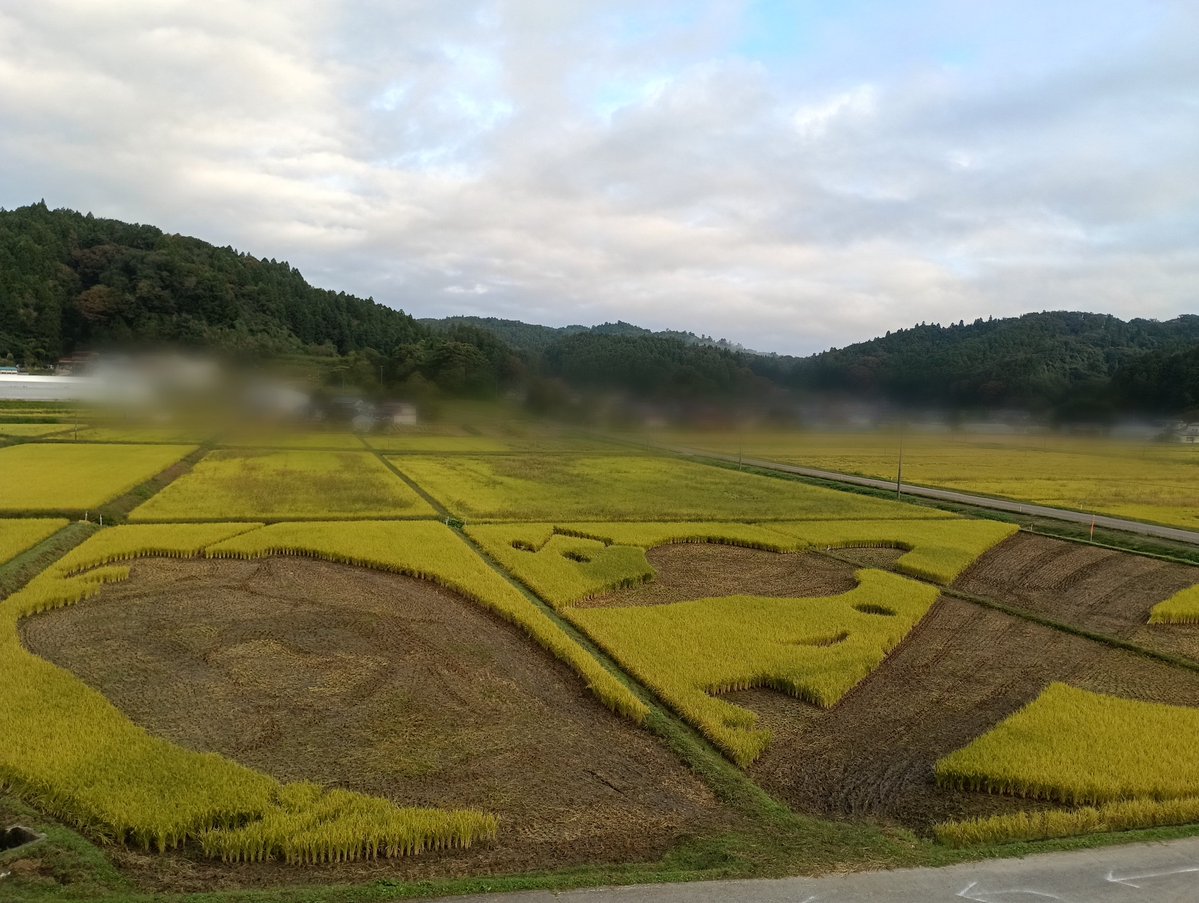 date_tedukuri's tweet photo. 2026年、西根田んぼアートは、129目。

曇り時々晴れ。

今朝はこんな風景です。
羽生さんの絵柄をバックから支えてくれた、目立たなかった稲も、今では、黄金色に輝きました。

実は、この稲こそが、唯一収穫する稲なのです。 https://t.co/D0dLvKEF6x