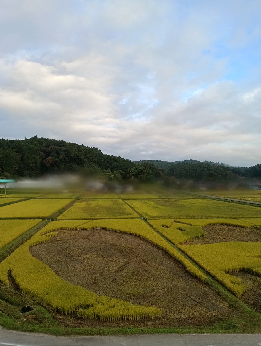 date_tedukuri's tweet photo. 2026年、西根田んぼアートは、129目。

曇り時々晴れ。

今朝はこんな風景です。
羽生さんの絵柄をバックから支えてくれた、目立たなかった稲も、今では、黄金色に輝きました。

実は、この稲こそが、唯一収穫する稲なのです。 https://t.co/D0dLvKEF6x