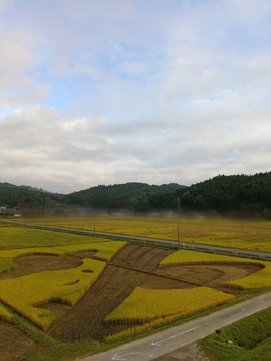 date_tedukuri's tweet photo. 2026年、西根田んぼアートは、129目。

曇り時々晴れ。

今朝はこんな風景です。
羽生さんの絵柄をバックから支えてくれた、目立たなかった稲も、今では、黄金色に輝きました。

実は、この稲こそが、唯一収穫する稲なのです。 https://t.co/D0dLvKEF6x