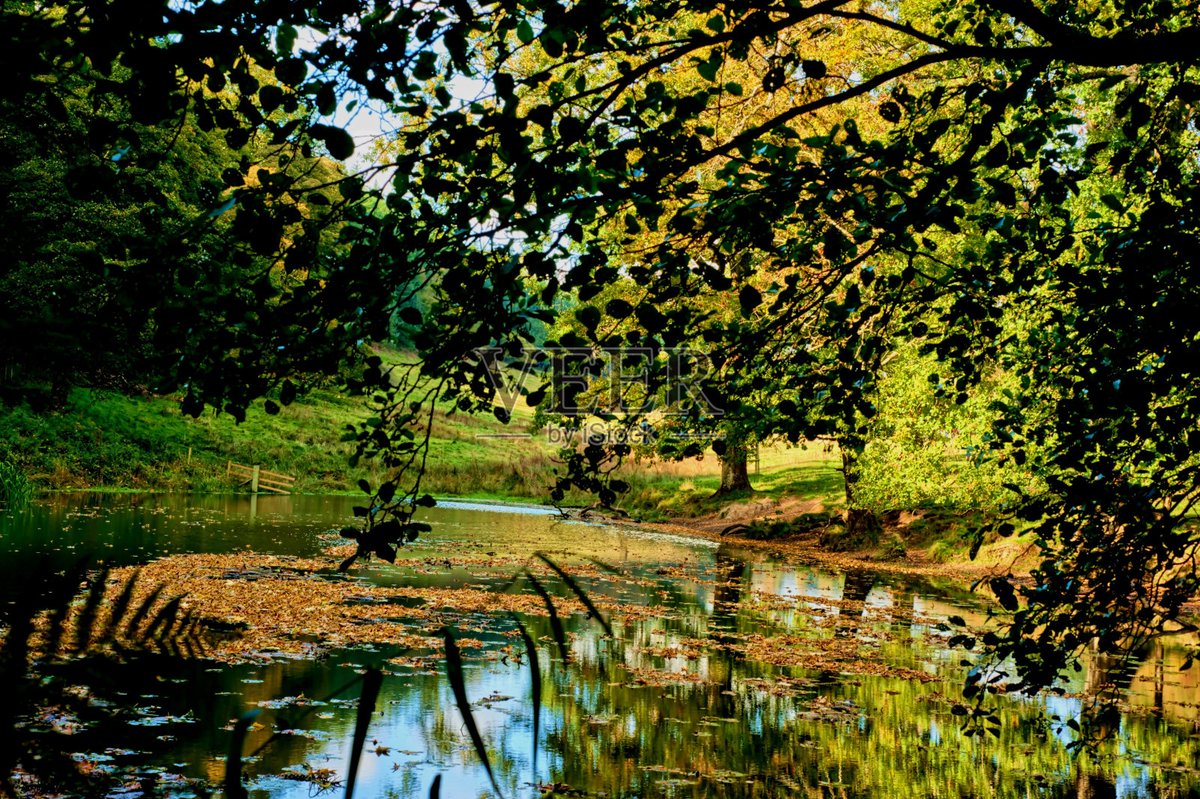 NathanWatsdohf's tweet photo. I stood under the locust tree, listening to the howling of the wind, the gentle ripples on the shallow water, which made my tired and light days take a moment to rest. https://t.co/N8yq4GC62q