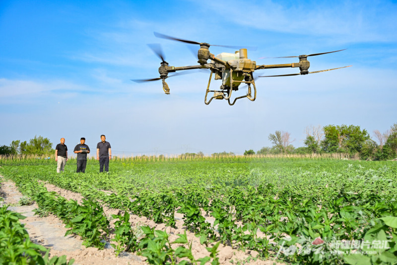 DaltonCarratrp's tweet photo. When locust swarms hit, quick pest control crews use special traps to catch them—this efficient system is the key to crop planting safety! https://t.co/4Rn0qWBJWi