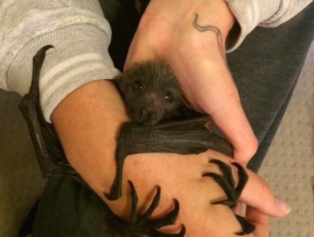 battwting's tweet photo. holds onto you https://t.co/5k7gm1MuGq