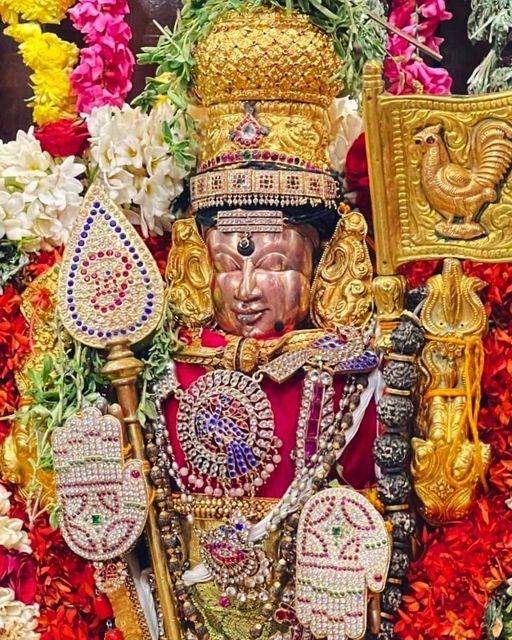 sudha_unique's tweet photo. #நற்காலைவணக்கம்🌺🌺🌺🙏!

PC:SM! https://t.co/1ZnR6QfNUM