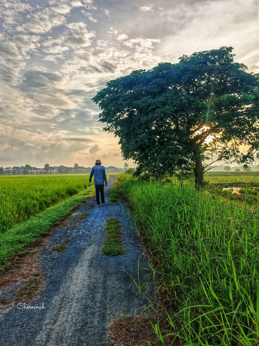 PerlisPermai's tweet photo. SALAM PERLIS

5 Oktober 2026 | 23 Rabiulakhir 1448H

Selamat Pagi | Panorama Indah @ Perlis

Kredit 📸 : Che Rosnah

#PerlisPermai #SelamatPagi #SalamPerlis #VisitPerlis #TahunMelawatPerlis Perlis💛💙 Malaysia🇲🇾 https://t.co/gbfoHVWCzd