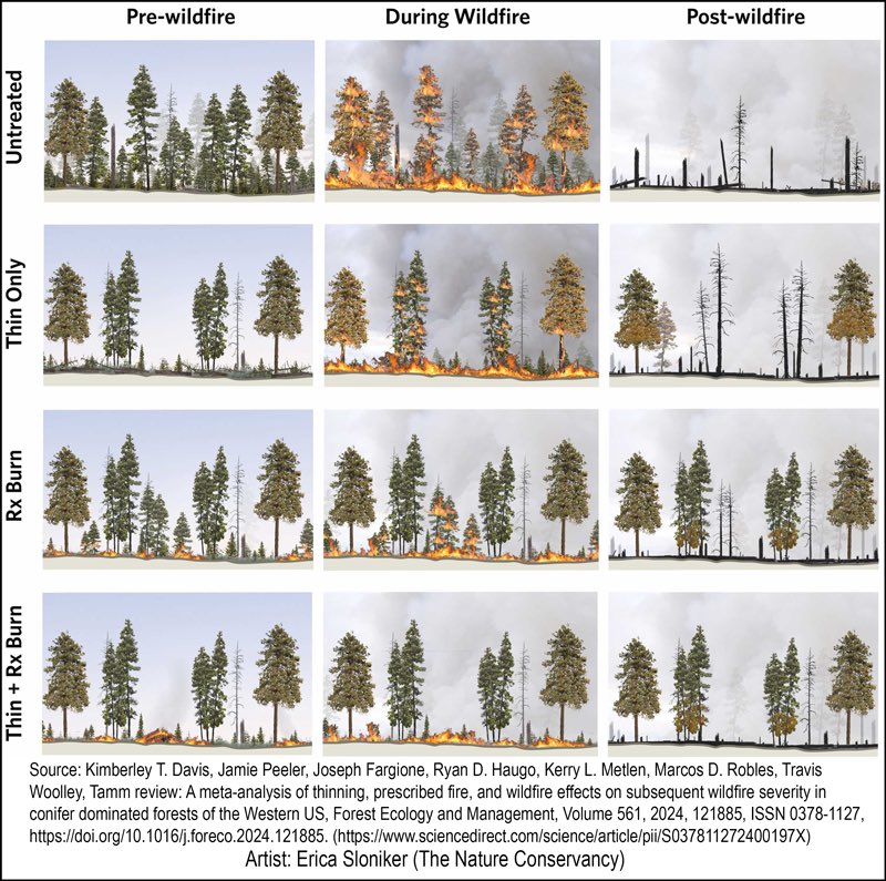 ChrisMartzWX's tweet photo. Forest fires have become larger and more intense in western North America over the last few decades because of decades of forest mismanagement and fire exclusion practices, not because of “man-made climate change.”

Even still, forests burn far less than they did prior to westward expansion.

These so-called “researchers” are not telling the full story and will only be given grant money to tie their findings to “climate change.”

The gravy train needs to be dismantled. Funding for it has not been cut enough.