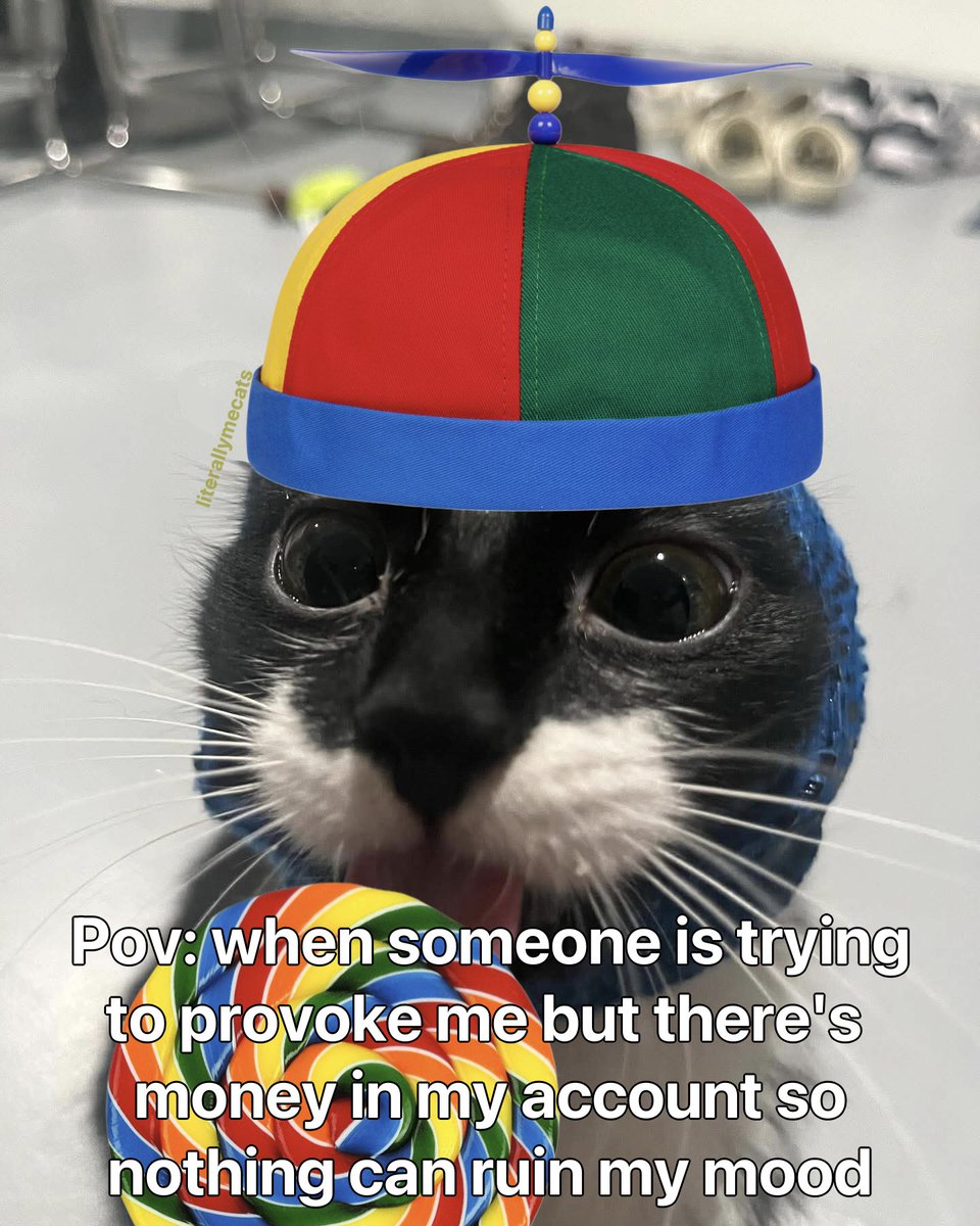 literallymecats's tweet photo. https://t.co/aaAOwulSBP