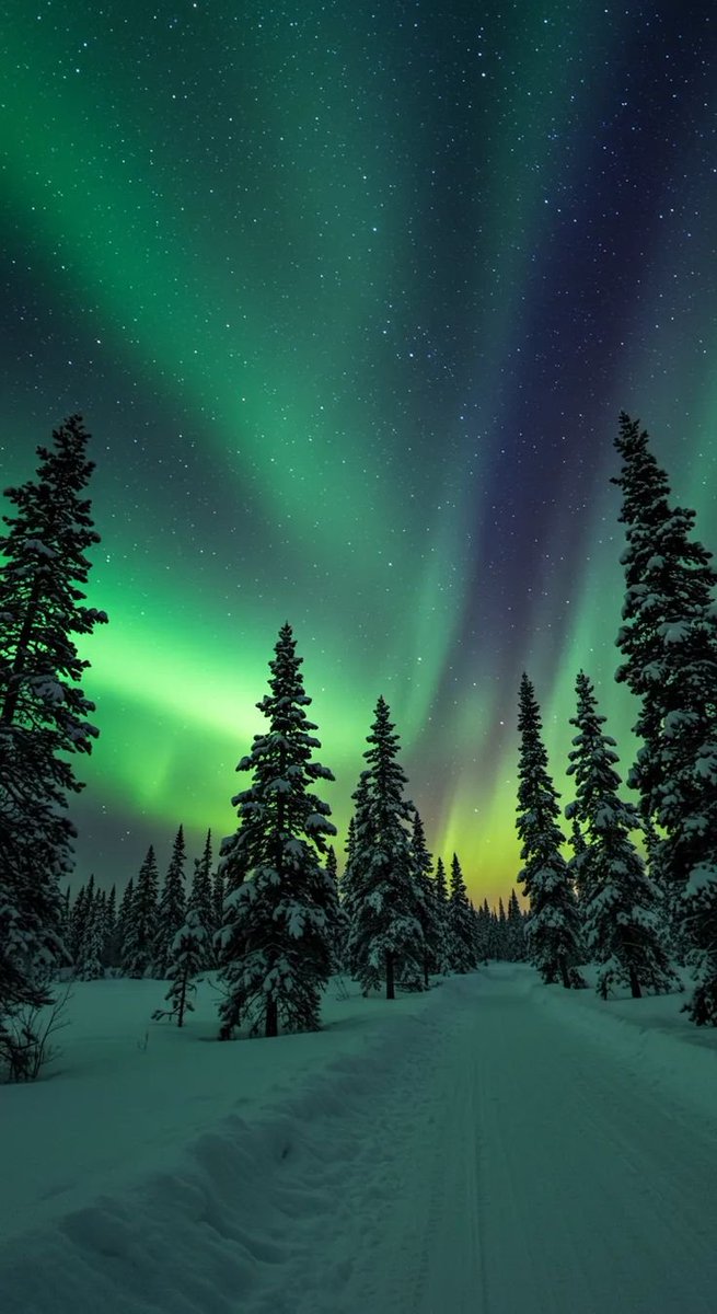 NaturalEye78321's tweet photo. 📍 Fairbanks, United States 🇺🇸 https://t.co/qNtCJAOKOj