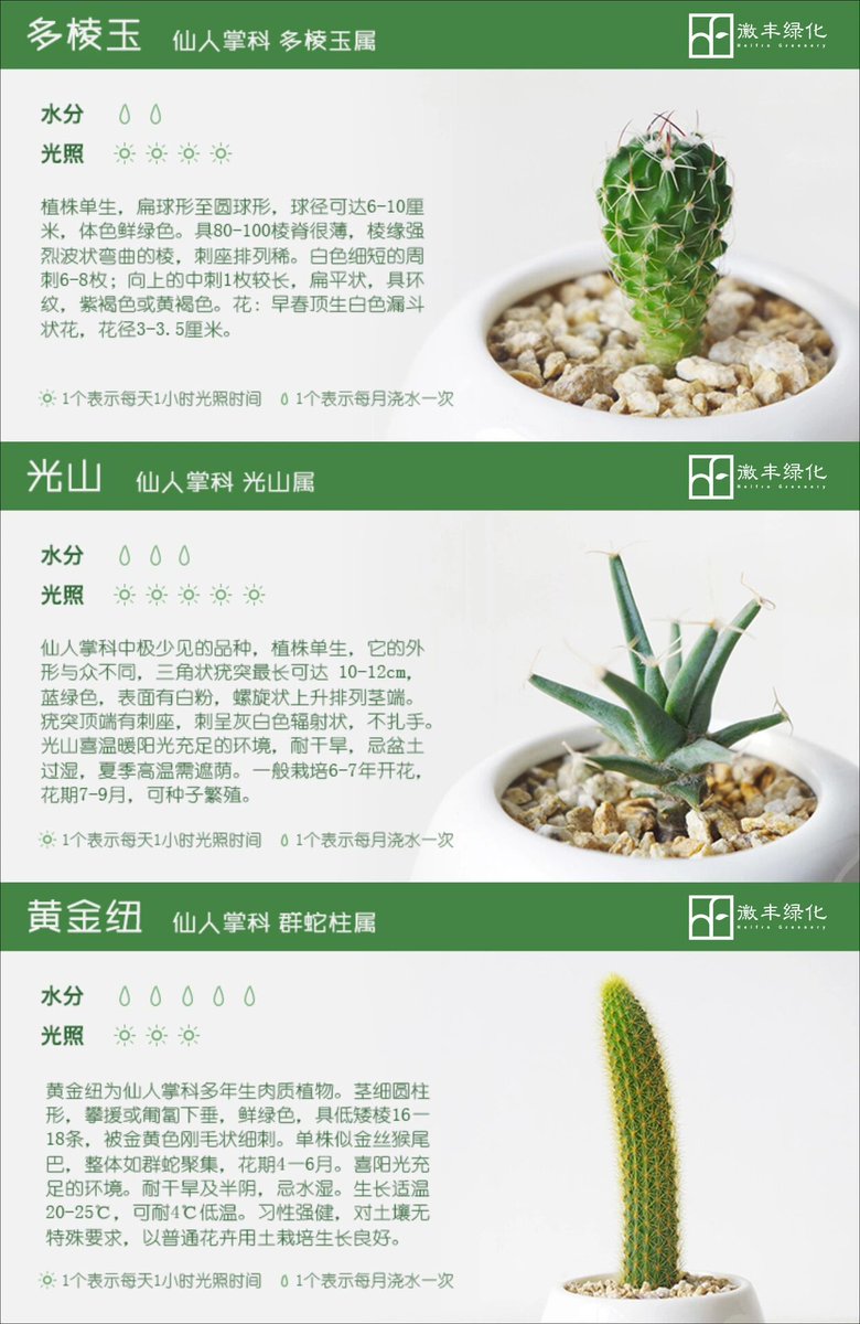 AdalineFiebfn's tweet photo. @la_mochila_perdida hoy me encontré un cactus con textura que parece de quien no quiere que lo toquen, lleno de espinas que no paran, un desierto en miniatura que no compro pero si admiro,  (注：已将中文需求的目标字“婪窒挖砸”融入为推文意象，保留西班牙文自然表达) https://t.co/RqdLWvHdxW
