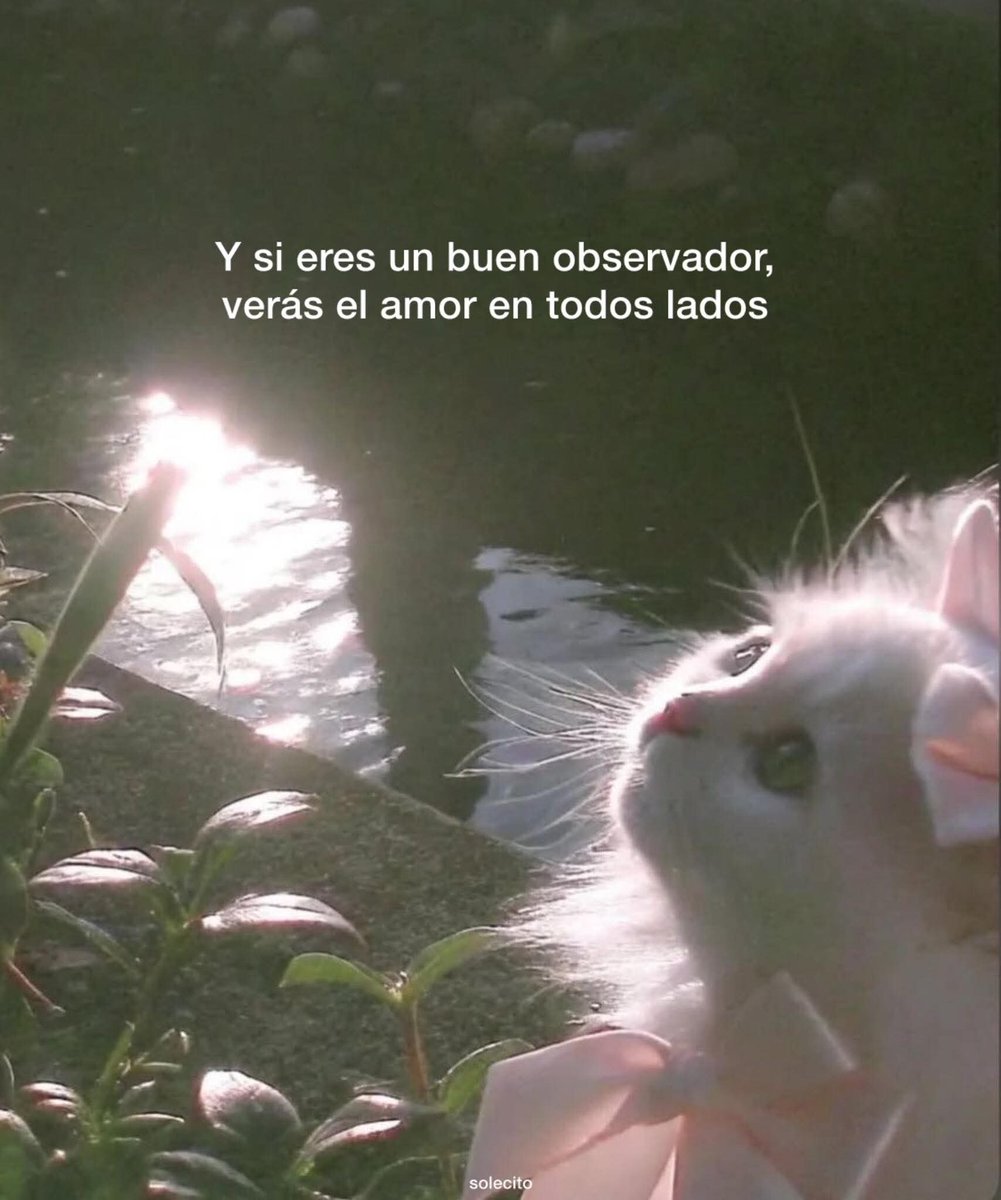 ojoscol0rsol's tweet photo. https://t.co/giHn8AyAQB