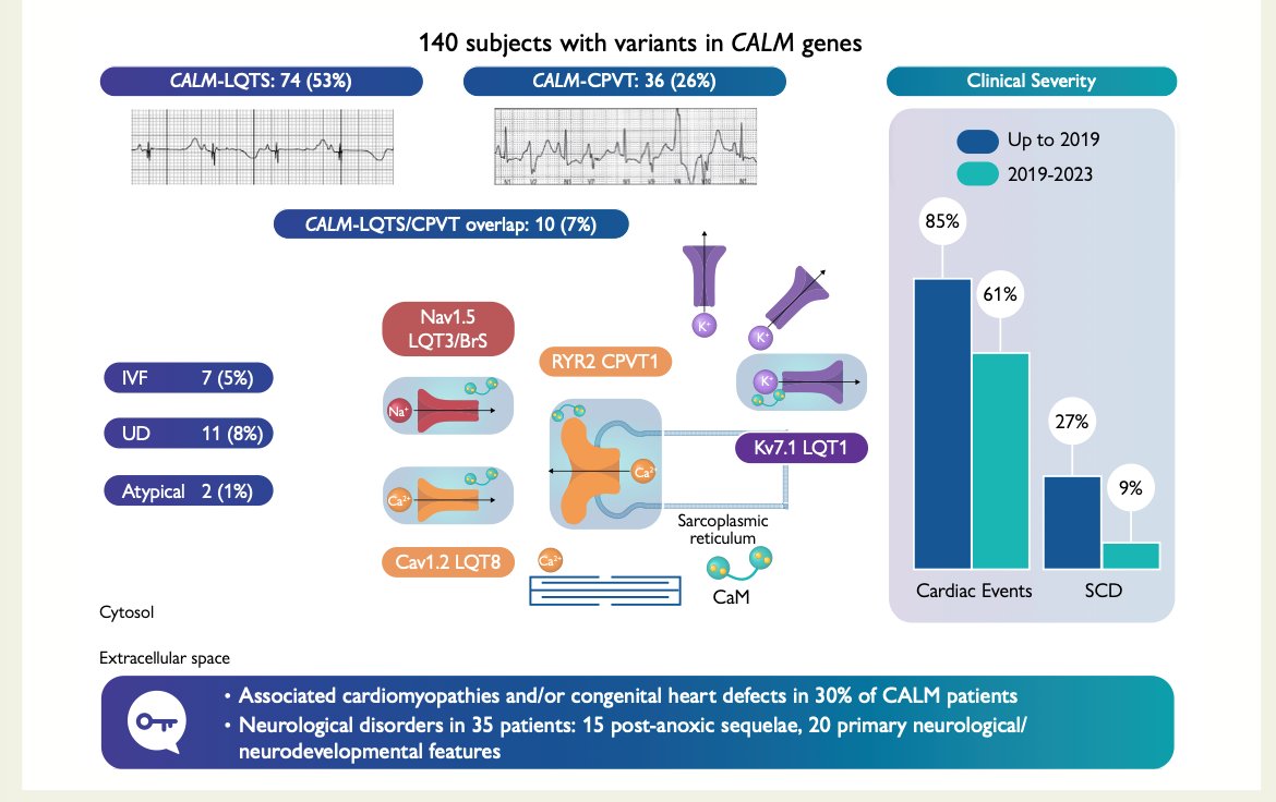 EHRAPresident's tweet photo. ⚡ Why are calmodulinopathies so severe?
🫀Malignant VA occur in 49% of CALM-LQTS cases
⚡Arrhythmias are often adrenergically triggered, with abrupt onset of VF
🫀30% also have CMP and/or congenital heart disease
Read more in #EHJ
https://t.co/TiPLpbIrli https://t.co/seaByjL0cK