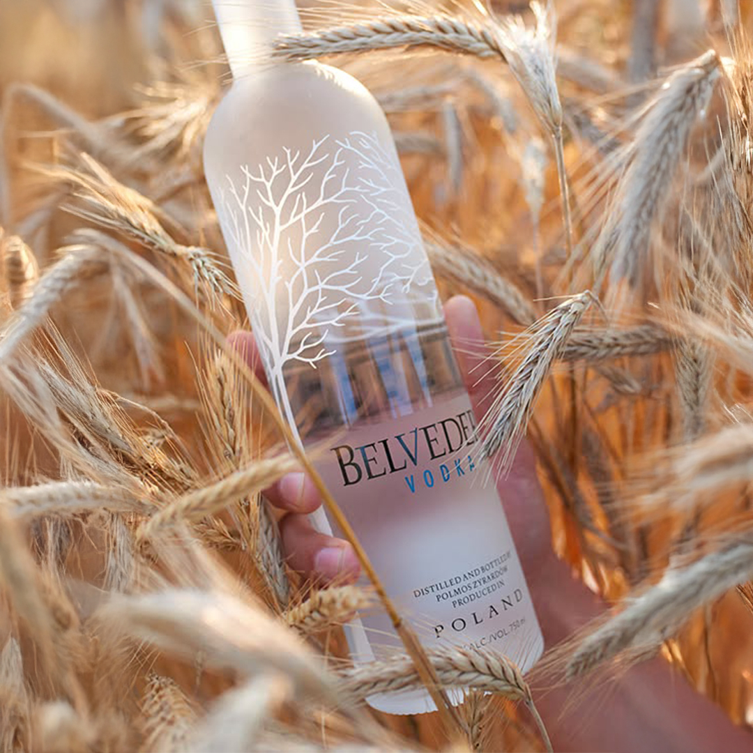 MinibarDelivery's tweet photo. We have the perfect excuse to make a fun cocktail. It's National Vodka Day. Pick up your favorite cocktail base and mix up something fun! https://t.co/O3ce169DEQ https://t.co/b9FnNj88h6