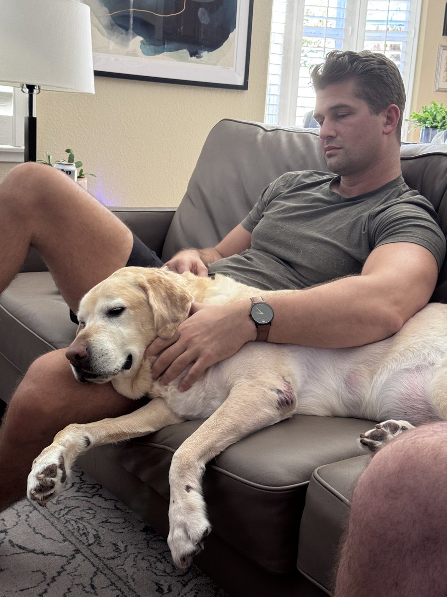 BillMelugin_'s tweet photo. Really tough weekend. Flew home to day goodbye to our sweet boy Axel after 12 years of pure joy and love with him. He was such a good big brother and pack leader for our adopted border pups. Accepted them immediately. 

And he helped our family through the loss of my dad more than he’ll ever know. Will miss him so much. 

Love you forever Axe ❤️