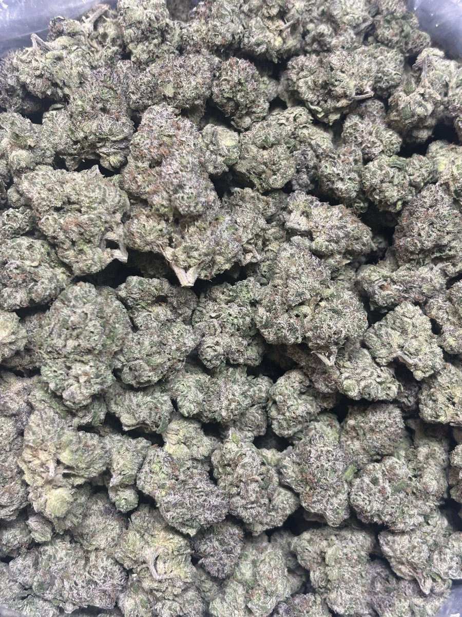 NicheNorth's tweet photo. Blue Nerdz - Wicked Gardens https://t.co/h7ejIi0vzz