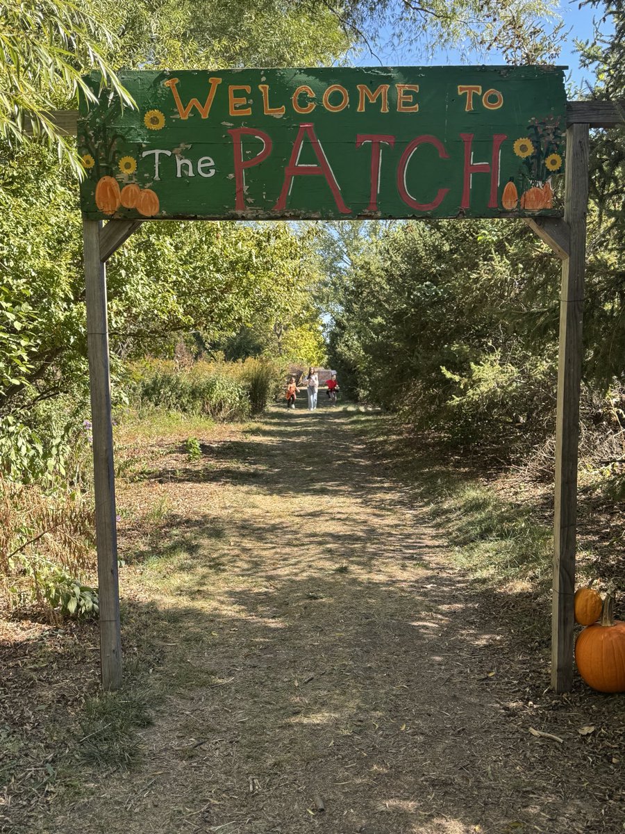 TexasSaluki's tweet photo. Nothing beats an Illinois pumpkin patch.
#Illinois #PumpkinPatch #FallInIllinois #IllinoisAg https://t.co/zdB8r2hBs1