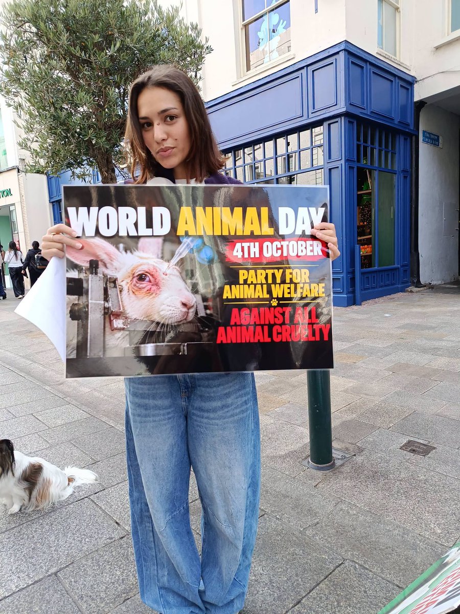 AnimalPartyIE's tweet photo. Our demo today to mark #WorldAnimalDay was a great success.....we based ourselves on #GraftonSt #Dublin #Ireland and had lots of good interactions with passerbyers...our #petition to #endanimallabtesting 🐀🐕🐰received hundreds of signatures. https://t.co/IZH6fjuUFb  🐾🐾🐾🐾🐾 https://t.co/4QYLdfPOZ0