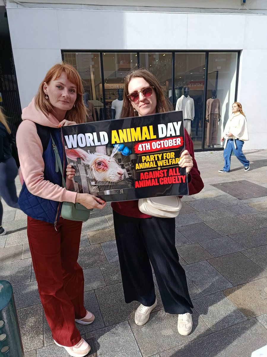AnimalPartyIE's tweet photo. Our demo today to mark #WorldAnimalDay was a great success.....we based ourselves on #GraftonSt #Dublin #Ireland and had lots of good interactions with passerbyers...our #petition to #endanimallabtesting 🐀🐕🐰received hundreds of signatures. https://t.co/IZH6fjuUFb  🐾🐾🐾🐾🐾 https://t.co/4QYLdfPOZ0