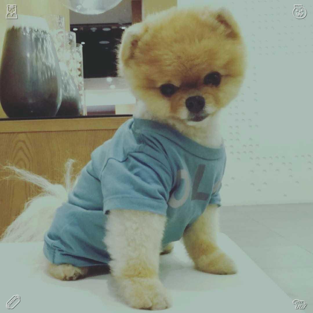 MuscularMommyx's tweet photo. Lola pulled out her phone, snapping a selfie of them dancing, the lights from the stage casting a warm glow on them. It was a perfect moment, one she never wanted to forget.🦍Cherry pancakes Pancakes, ready https://t.co/ti2KzKvS9n