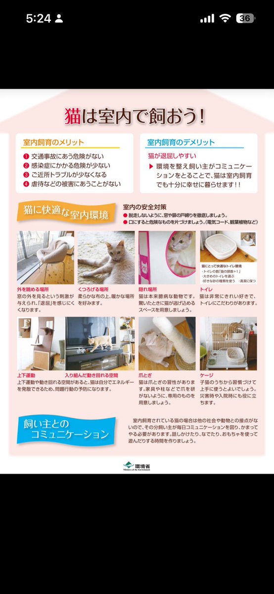 jmptnuqm's tweet photo. https://t.co/QMhlx6mHju
