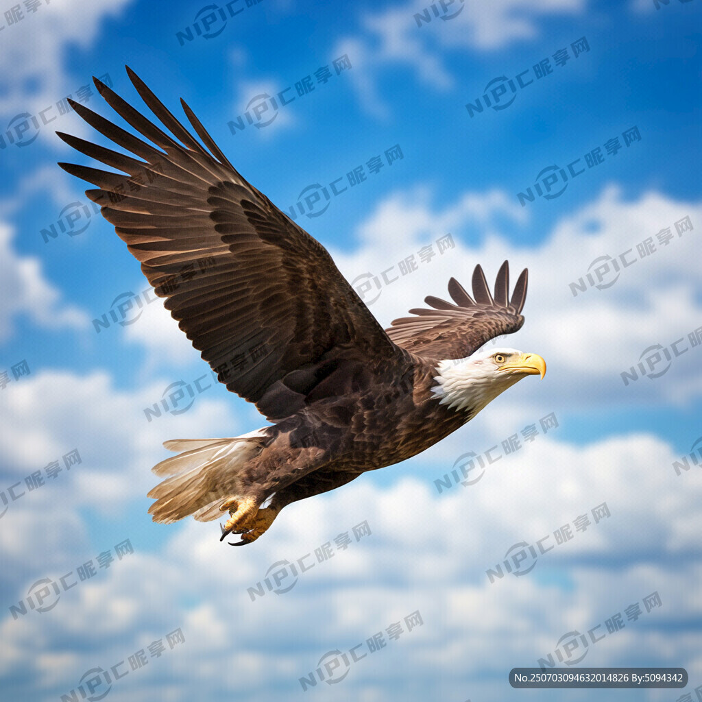 AlexaGoodmif's tweet photo. [Hoy, el águila reina con su vuelo, y el futuro se abre paso con la fuerza del sol — una senda de renacer y avanzar juntos.] https://t.co/ofiU4jFdy4
