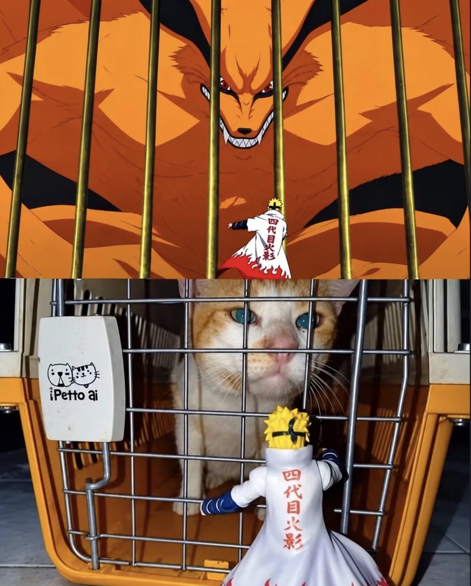 AnimeePost tweet picture