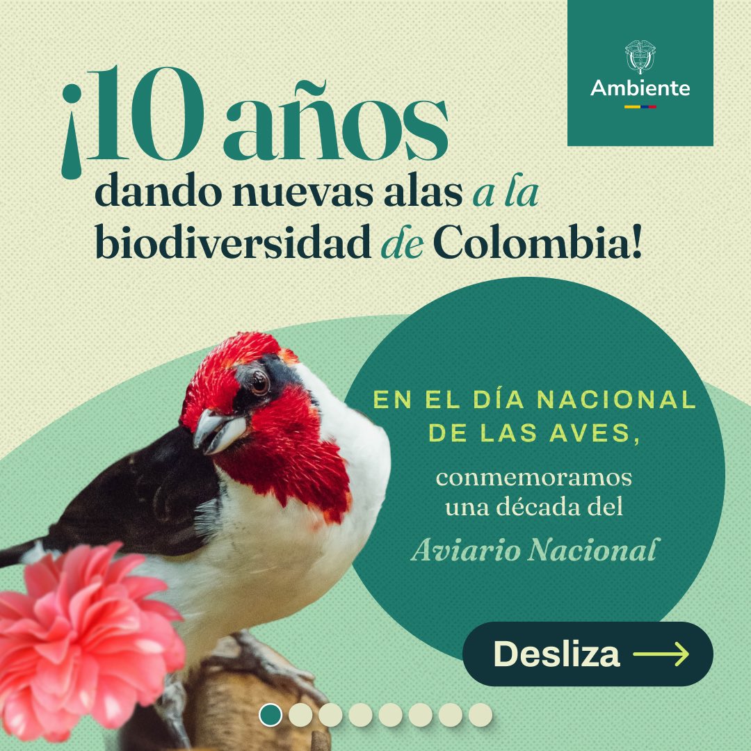 MinAmbienteCo's tweet photo. ¡En el país #1 en diversidad de aves del mundo, las alas de laesperanza están de fiesta!

Hoy, en el Día Nacional de las Aves, conmemoramos los 10 años del @AviarioNacional , un centro dedicado a la conservación y protección de la vida con dos alas. 
 Desde el @MinAmbienteCo nos sumamos a esta gran celebración,reafirmando nuestro compromiso con la conservación de laavifauna y sus ecosistemas.
 
A través de nuestra Agenda ABC seguimos impulsando acciones para conservar nuestra biodiversidad y trabajar de la mano con quienes habitan y protegen nuestros territorios.

¡Desliza y descubre las acciones de conservación que estánconstruyendo un mejor futuro para nuestras aves!
 
¿Cuál es tu ave colombiana favorita? ¡Cuéntanos en loscomentarios y digamos NO al tráfico ilegal de fauna silvestre! 🌿

#DíaNacionalDeLasAves #AviarioNacional10Años