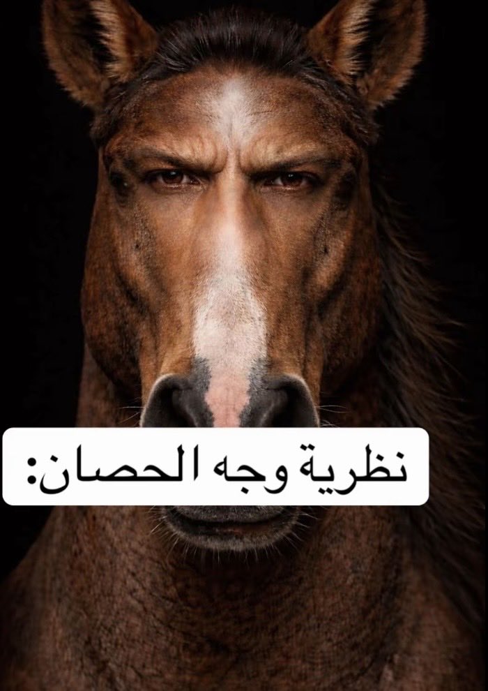 zrllt's tweet photo. الموضوع يبغاله دراسه
#٢٠٣٠_بلا_نقاب4 #٢٠٣٠_بلا_نقاب #٢٠٣٠_بلا_نقاب3 https://t.co/4EVKxq5U5X