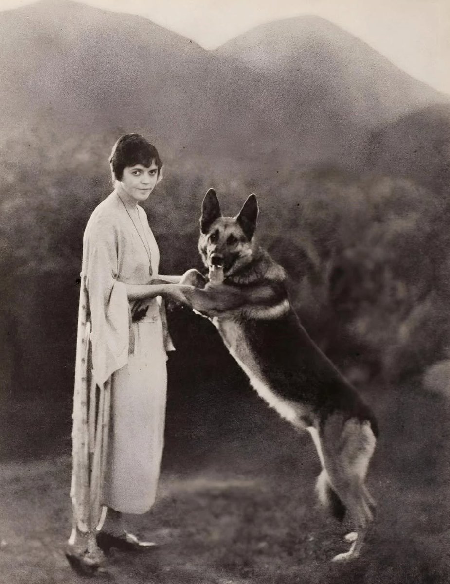 Cinefania's tweet photo. #perros Les presento a Strongheart, el que le pisaba la cola al can mejor pago de los estudios! https://t.co/Asd9C7n0TC
[Junto a Jane Murfin en un descanso de "Corazón de león"] https://t.co/GcndShlH4p