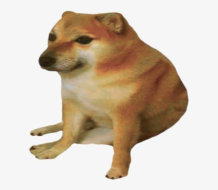 V10LAVE's tweet photo. i f hate butchtober cause it’s an another reminder that i look like this meme https://t.co/f55pp3bEOp