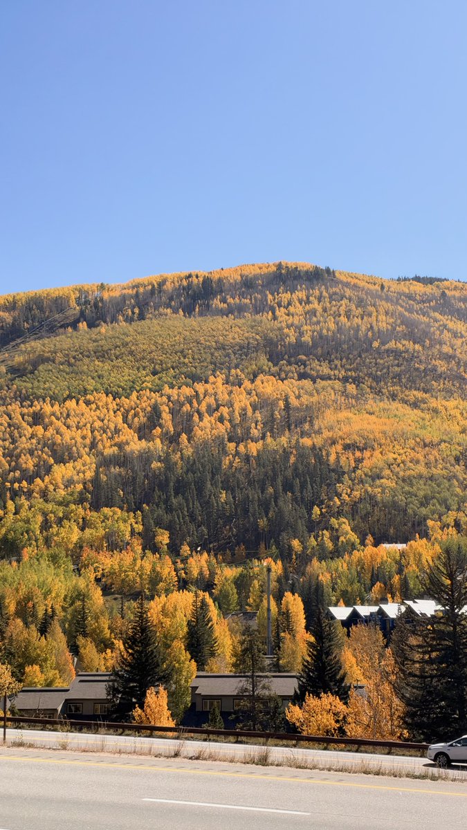 JorgeURQUICO's tweet photo. Vail in October is basically the mountains flirting with you. Golden everywhere, cold enough for a jacket, warm enough for a patio. I get why people come for winter… but fall is the secret. 🍂 https://t.co/v5vH9p5S9H