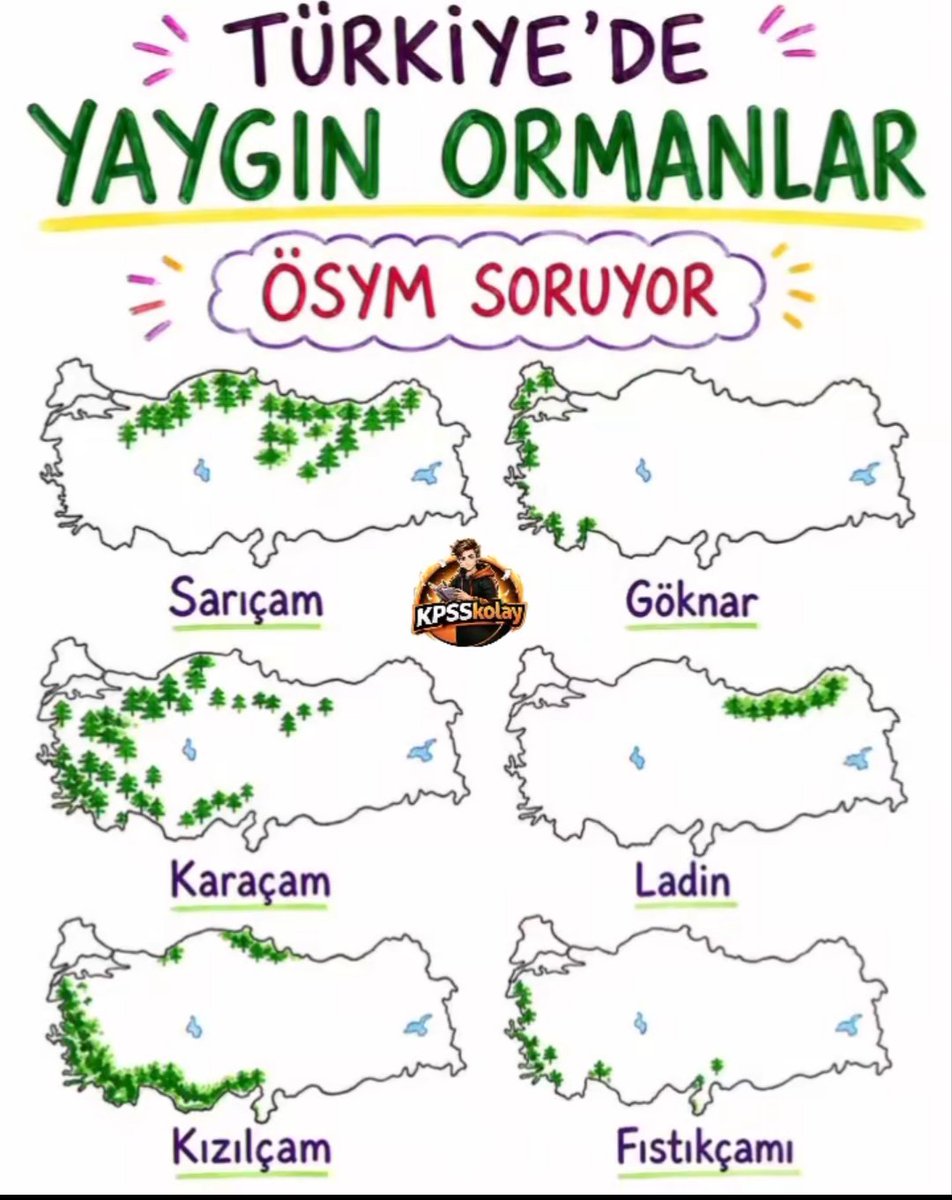 niss_yan's tweet photo. Bizim çalıştığımız orman çeşitleri ve topraklar...
ÖSYM'nin sorduğu orman çeşidi...
Longoz yaktın bizi.
#kpssönlisans https://t.co/CZimNwNaK9